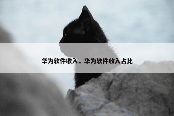 华为软件收入，华为软件收入占比