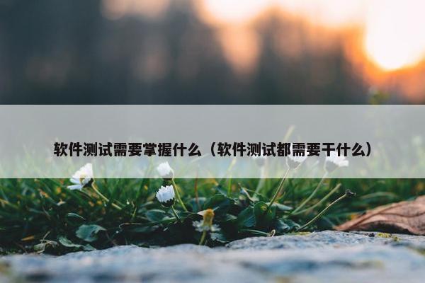 软件测试需要掌握什么（软件测试都需要干什么）