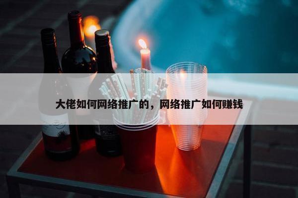 大佬如何网络推广的，网络推广如何赚钱