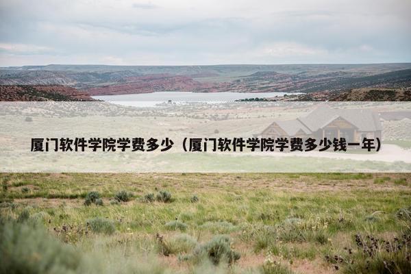 厦门软件学院学费多少（厦门软件学院学费多少钱一年）