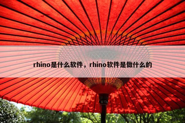 rhino是什么软件，rhino软件是做什么的