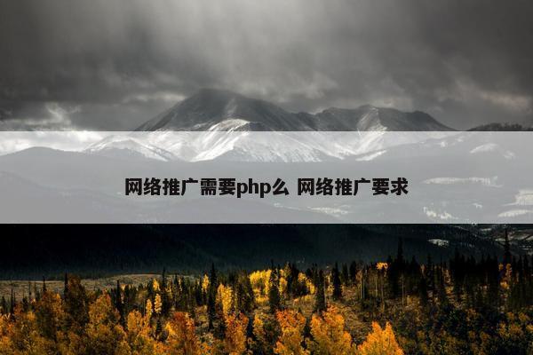 网络推广需要php么 网络推广要求