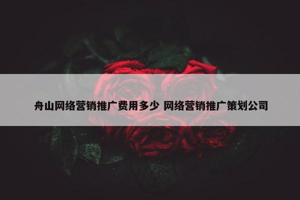 舟山网络营销推广费用多少 网络营销推广策划公司