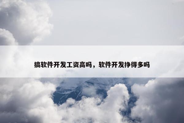 搞软件开发工资高吗，软件开发挣得多吗