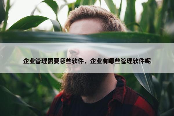 企业管理需要哪些软件，企业有哪些管理软件呢