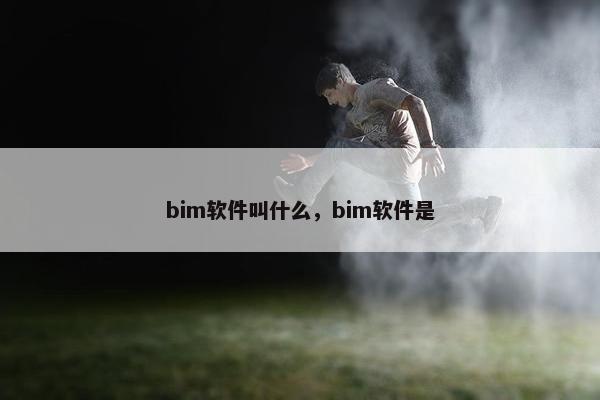 bim软件叫什么，bim软件是