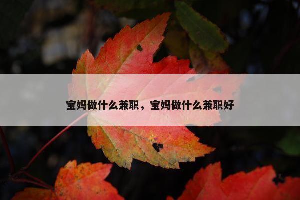 宝妈做什么兼职，宝妈做什么兼职好