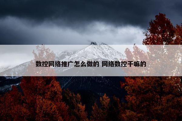 数控网络推广怎么做的 网络数控干嘛的