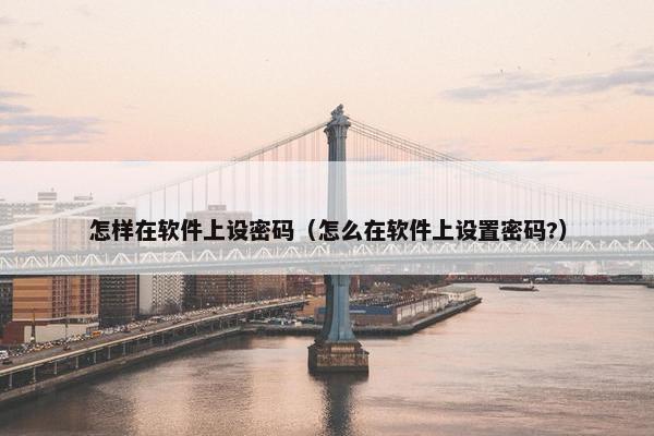 怎样在软件上设密码（怎么在软件上设置密码?）