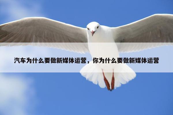 汽车为什么要做新媒体运营，你为什么要做新媒体运营