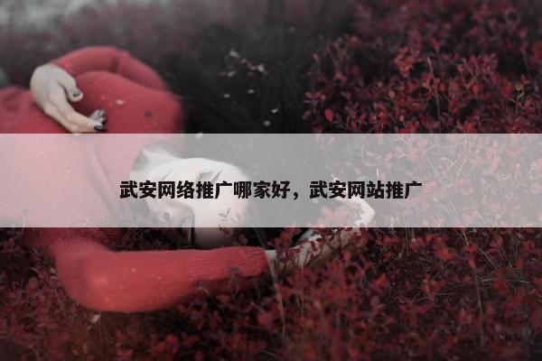 武安网络推广哪家好，武安网站推广