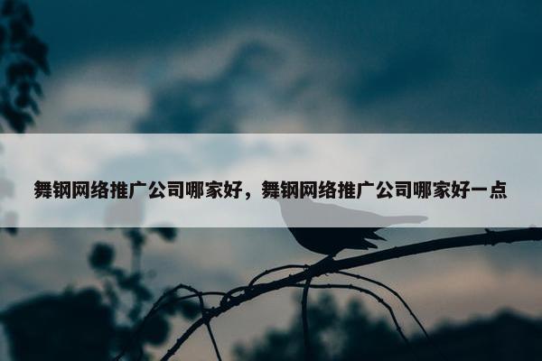 舞钢网络推广公司哪家好，舞钢网络推广公司哪家好一点