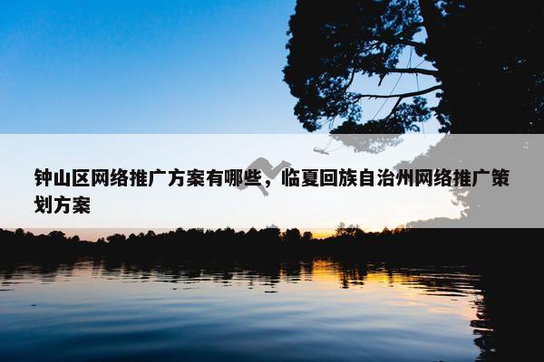 钟山区网络推广方案有哪些，临夏回族自治州网络推广策划方案