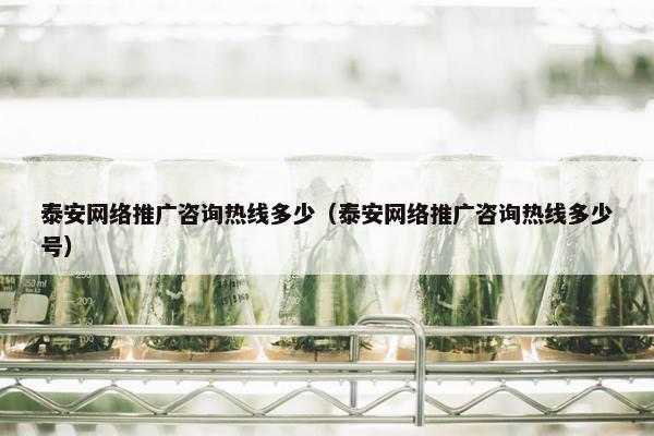 泰安网络推广咨询热线多少（泰安网络推广咨询热线多少号）