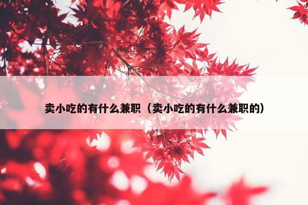 卖小吃的有什么兼职（卖小吃的有什么兼职的）