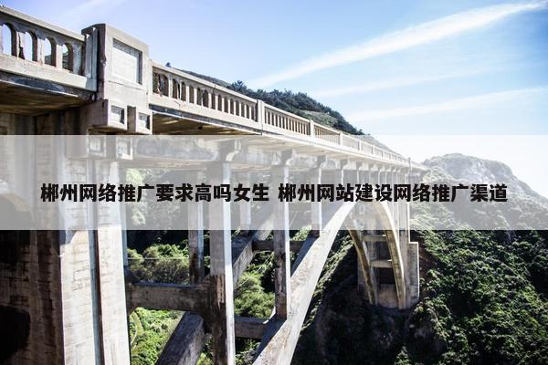 郴州网络推广要求高吗女生 郴州网站建设网络推广渠道