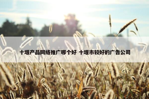 十堰产品网络推广哪个好 十堰市较好的广告公司