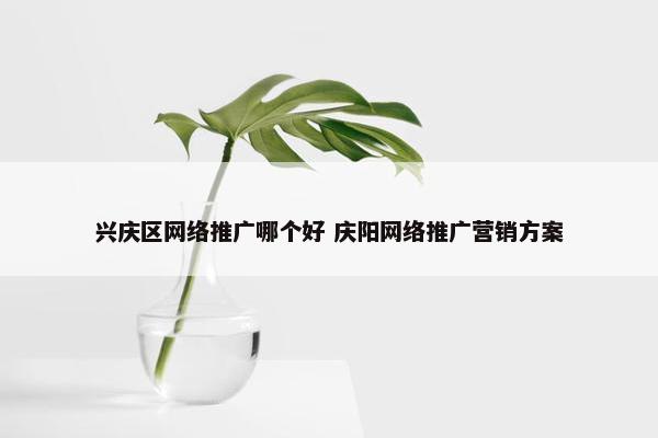 兴庆区网络推广哪个好 庆阳网络推广营销方案