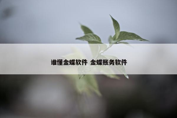 谁懂金蝶软件 金蝶账务软件