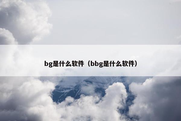 bg是什么软件（bbg是什么软件）