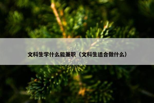 文科生学什么能兼职（文科生适合做什么）