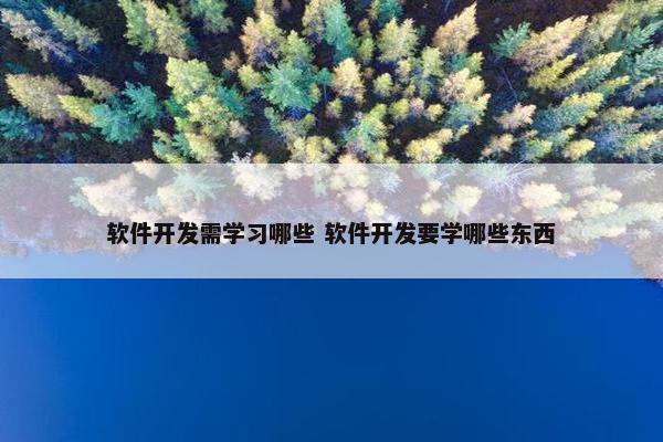 软件开发需学习哪些 软件开发要学哪些东西