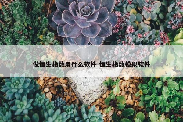 做恒生指数用什么软件 恒生指数模拟软件