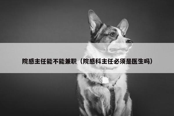 院感主任能不能兼职（院感科主任必须是医生吗）