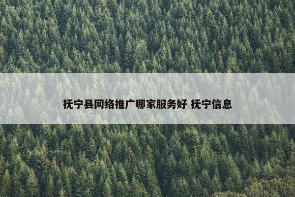 抚宁县网络推广哪家服务好 抚宁信息