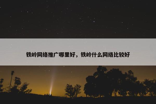 铁岭网络推广哪里好，铁岭什么网络比较好