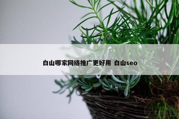 白山哪家网络推广更好用 白山seo