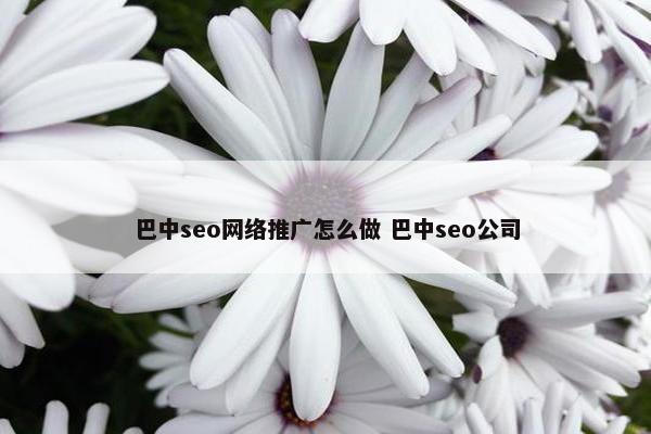 巴中seo网络推广怎么做 巴中seo公司