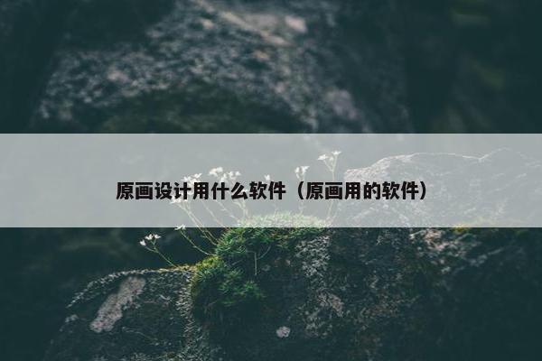 原画设计用什么软件（原画用的软件）