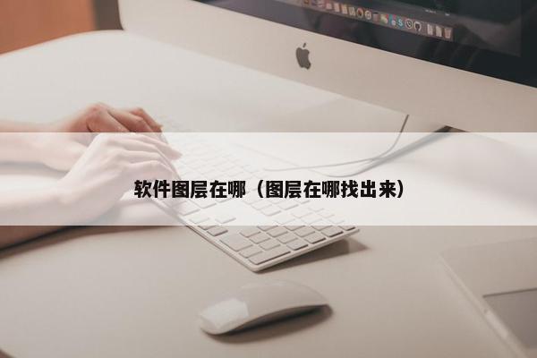 软件图层在哪（图层在哪找出来）