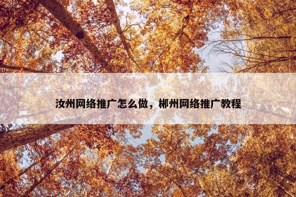 汝州网络推广怎么做，郴州网络推广教程