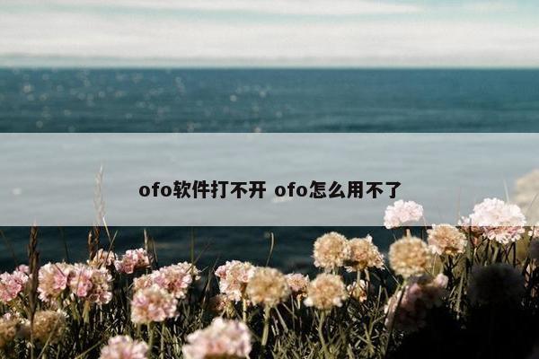 ofo软件打不开 ofo怎么用不了