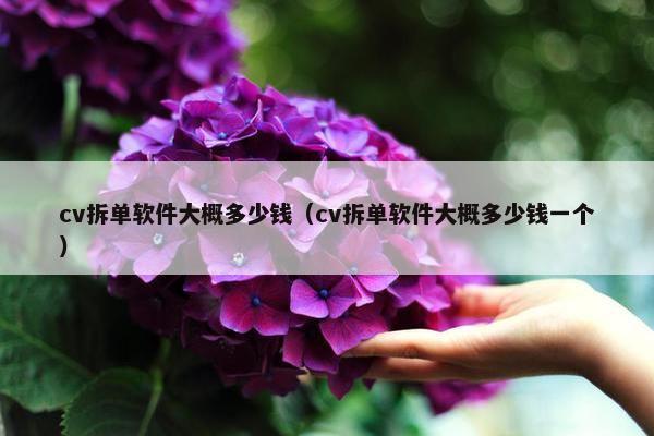 cv拆单软件大概多少钱（cv拆单软件大概多少钱一个）