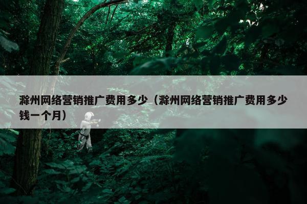 滁州网络营销推广费用多少（滁州网络营销推广费用多少钱一个月）