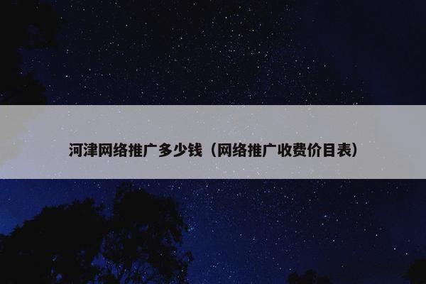 河津网络推广多少钱（网络推广收费价目表）