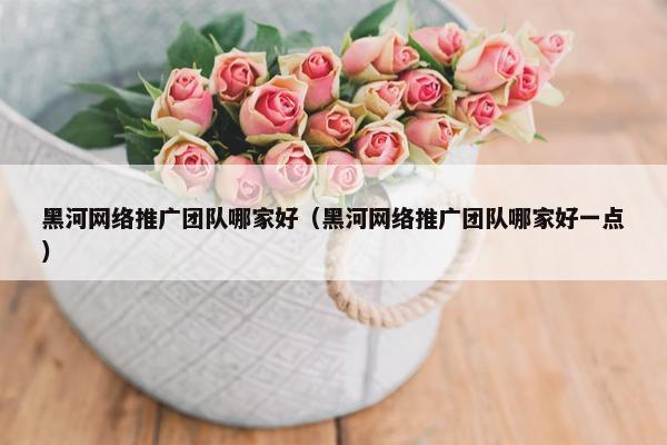 黑河网络推广团队哪家好（黑河网络推广团队哪家好一点）