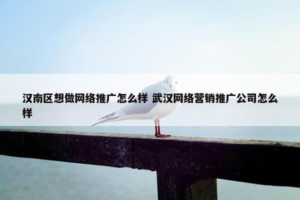 汉南区想做网络推广怎么样 武汉网络营销推广公司怎么样