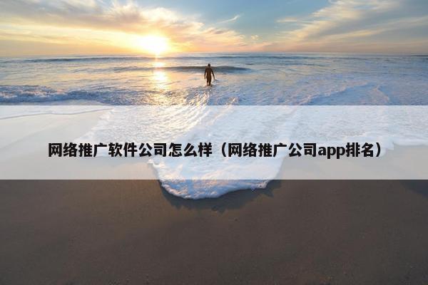 网络推广软件公司怎么样（网络推广公司app排名）