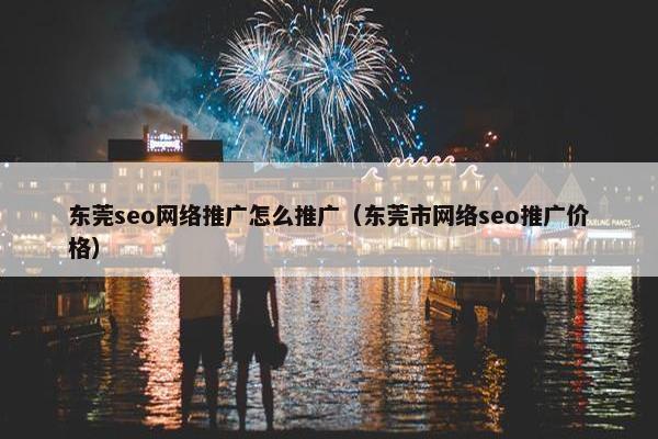 东莞seo网络推广怎么推广（东莞市网络seo推广价格）