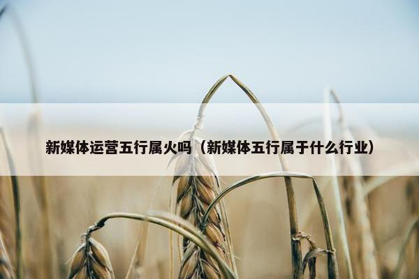 新媒体运营五行属火吗（新媒体五行属于什么行业）