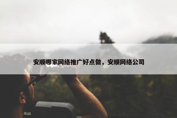 安顺哪家网络推广好点做，安顺网络公司