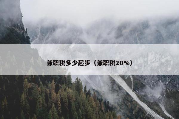 兼职税多少起步（兼职税20%）