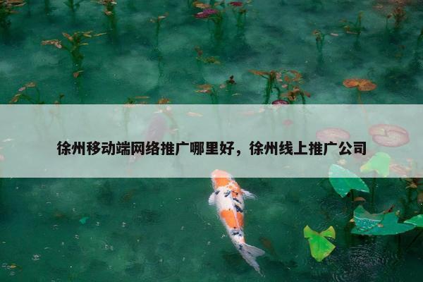 徐州移动端网络推广哪里好，徐州线上推广公司