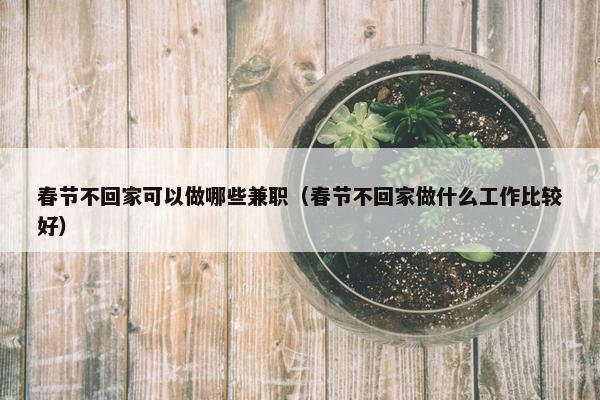 春节不回家可以做哪些兼职（春节不回家做什么工作比较好）