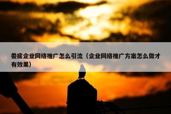 娄底企业网络推广怎么引流（企业网络推广方案怎么做才有效果）