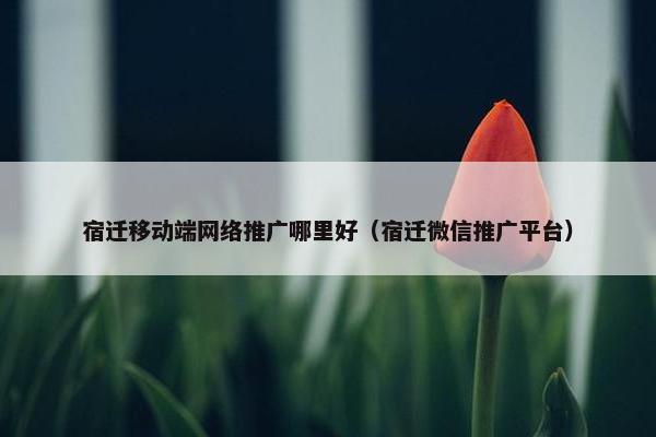 宿迁移动端网络推广哪里好（宿迁微信推广平台）